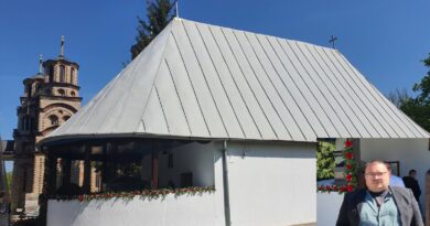 АЛЕКСАНДАР СРЕЈИЋ: НИСМО “ТИКВА БЕЗ КОРЕНА”