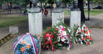  У СМЕДЕРЕВУ ОБЕЛЕЖЕН ДАН ПОБЕДЕ НАД ФАШИЗМОМ