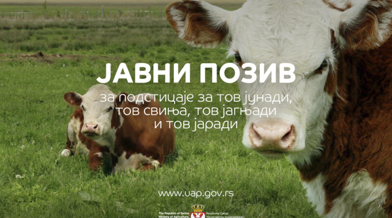 ДРЖАВА ДАЈЕ ДО 22.000 ДИНАРА ПО ГРЛУ – ОТВОРЕН ЈАВНИ ПОЗИВ ЗА ТОВ У 2026. ГОДИНИ