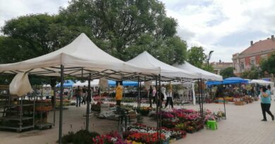 ОВОГ ВИКЕНДА ПРОЛЕЋНИ САЈАМ ЦВЕЋА И МЕДА НА ГЛАВНОМ ГРАДСКОМ ТРГУ